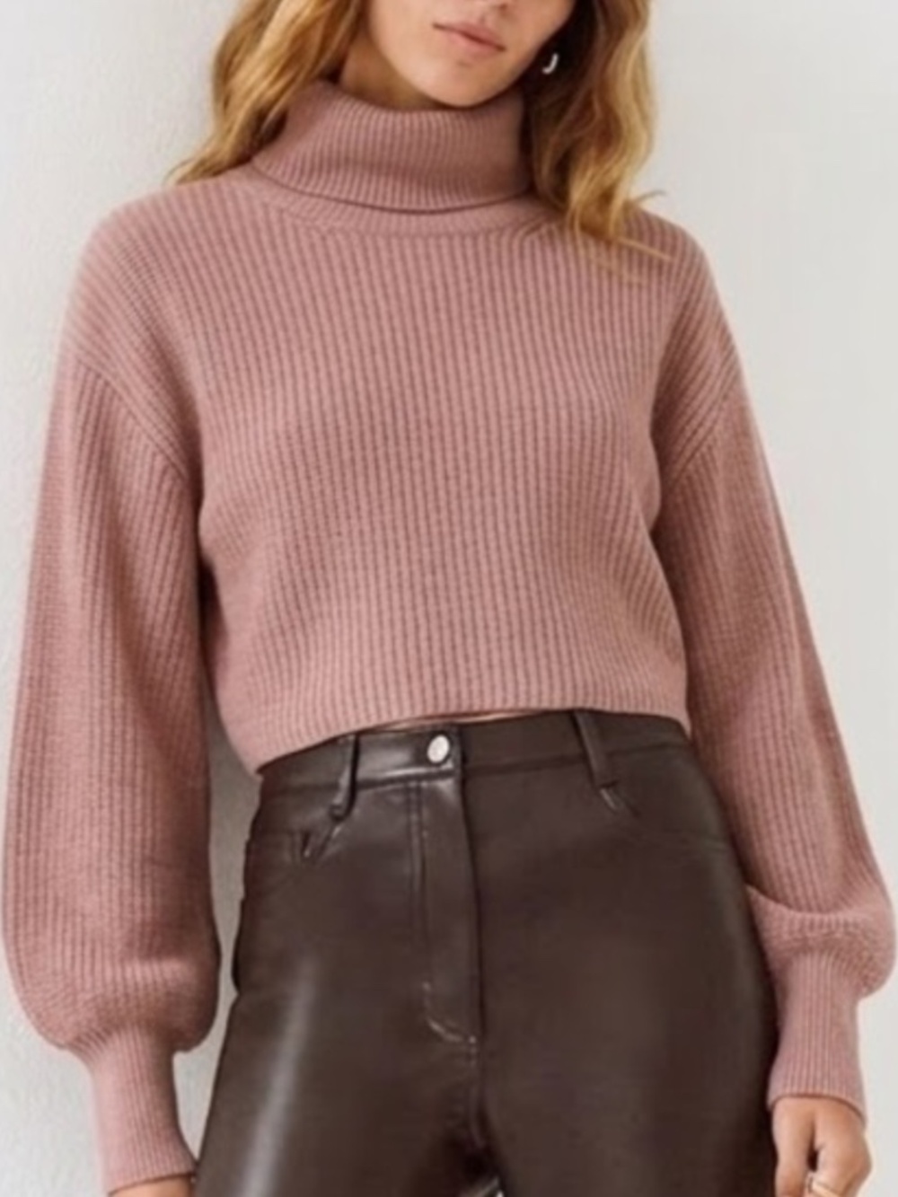 NWT Aritzia Wilfred wool sweater